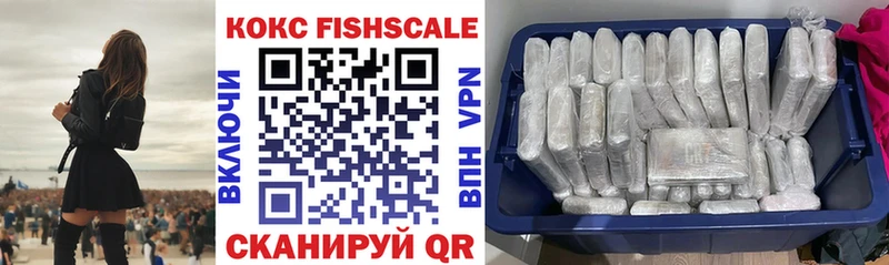 даркнет сайт  Городовиковск  Cocaine Fish Scale 