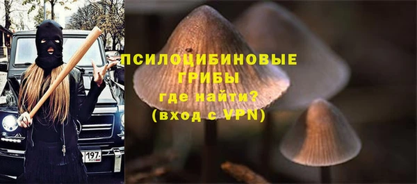 спайс Беломорск
