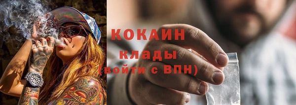 тгк Сатка