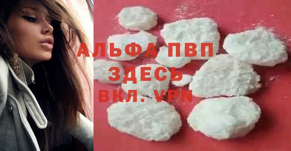 ешки Белокуриха