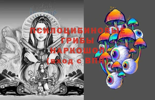спайс Беломорск