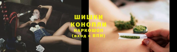 спайс Беломорск
